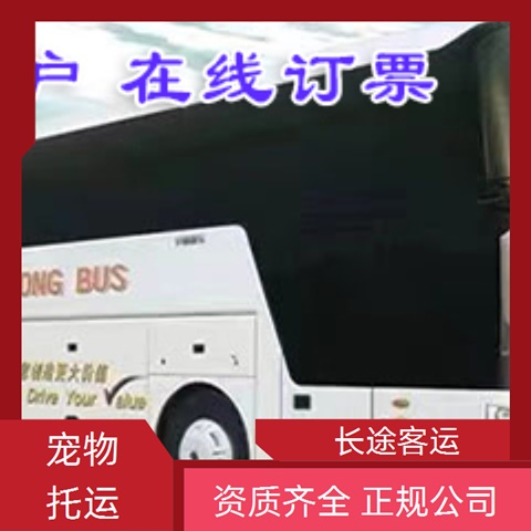 长途客车推送：太原到济源汽车大巴车（路线+票价/乘车指南）客车专线