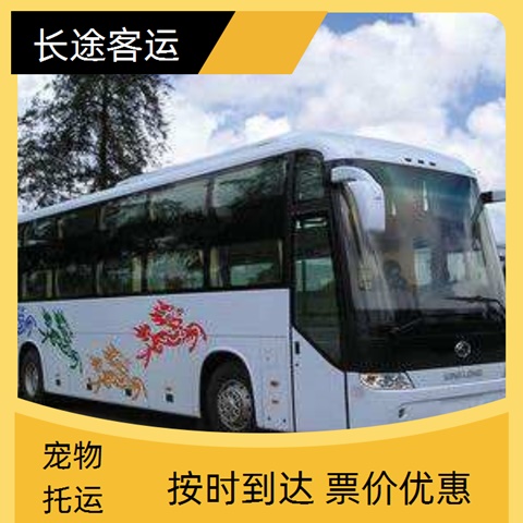 长途客车推送：太原到厦门汽车（路线+票价/乘车指南）至