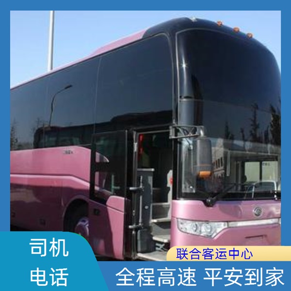 台州到郸城大巴车班次查询表（路线+票价）每天发车