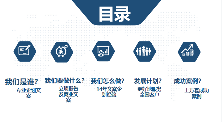 朔城区项目可行性研究报告编写技术团队