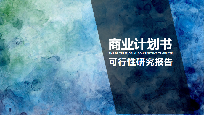 金口河区项目实施方案策撰技术团队