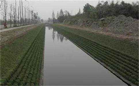 浙江绍兴膨润土防水毯厂家膨润土防水毯批发出售（今日排名一览）