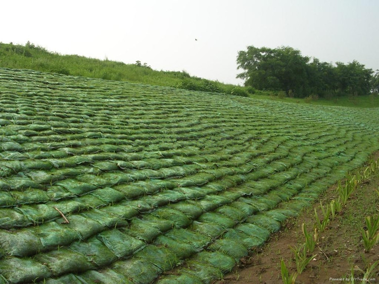 山东菏泽膨润土防水毯厂家膨润土防水毯价格批发（今日排名一览）