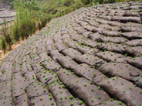 陕西铜川玻纤土工格栅厂家玻纤土工格栅厂家指导（今日排名一览）