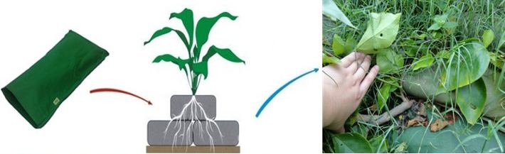 河北秦皇岛三维植被网厂家三维植被网价格批发（今日排名一览）