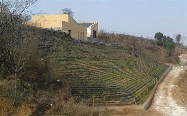 阿坝玻纤土工格栅厂家玻纤土工格栅厂家直销（今日排名一览）