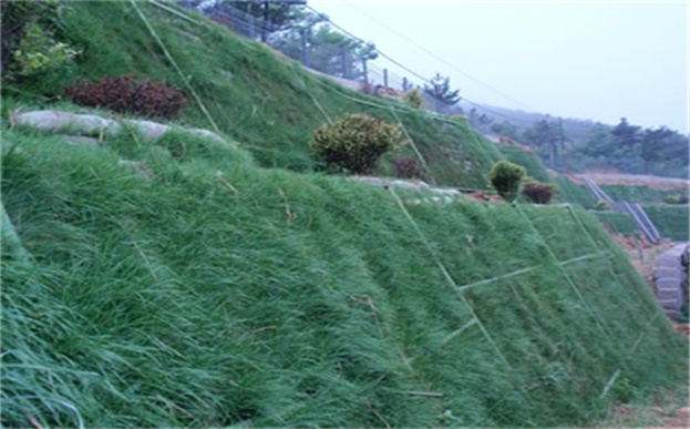 黄南三向土工格栅厂家三向土工格栅价格（今日排名一览）