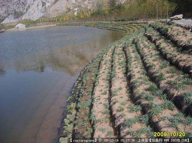 唐山三向土工格栅厂家三向土工格栅价格批发（今日排名一览）