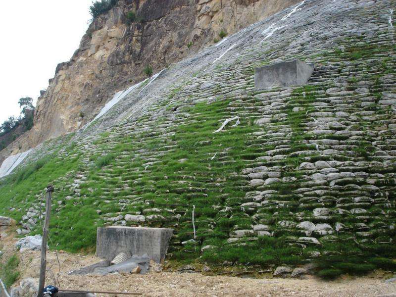 广西钦州钢塑土工格栅厂家钢塑土工格栅规格齐全（今日排名一览）