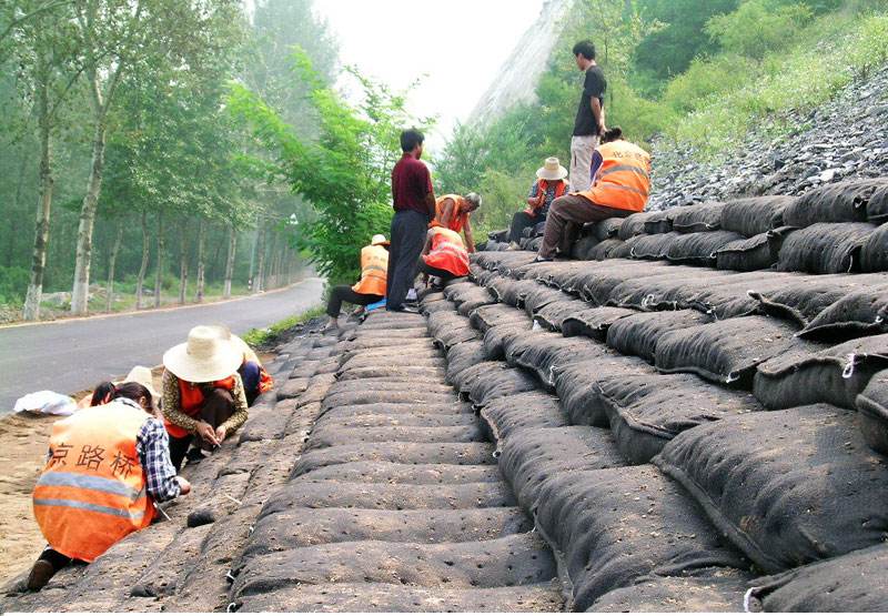 江苏连云港双向塑料土工格栅厂家双向塑料土工格栅价格（今日排名一览）