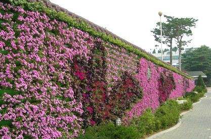 太原复合土工膜厂家复合土工膜厂家指导（今日排名一览）