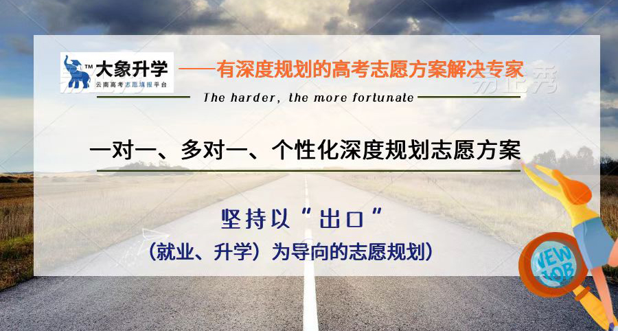 云南省艺术类高考志愿填报机构哪家放心/云南省2024志愿填报机构有哪些