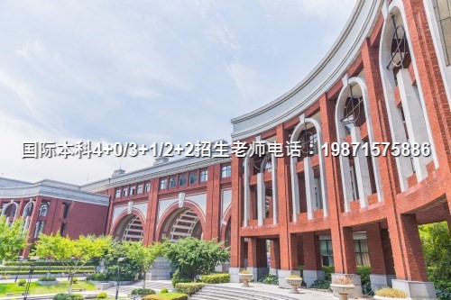 2024排名盘点|中央财经大学国际班招生计划