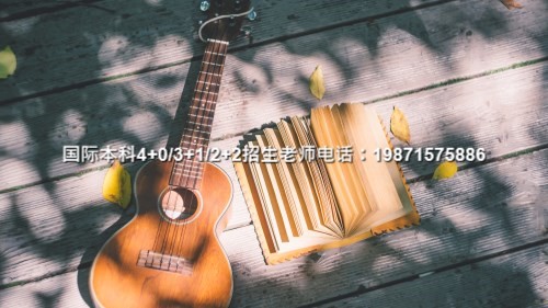 目前好的|武汉理工大学中外4+0国际班录取条件