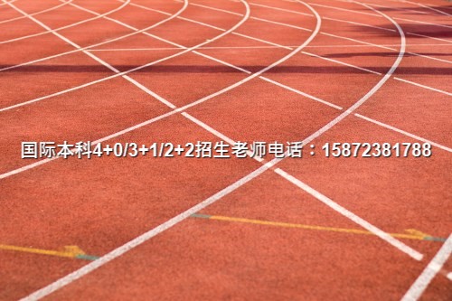 2024广东学院3加1免费咨询一览