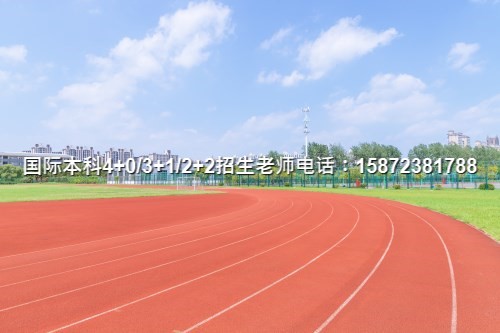 2024武汉理工大学国际学院国际3+1本科招生简介名单公布