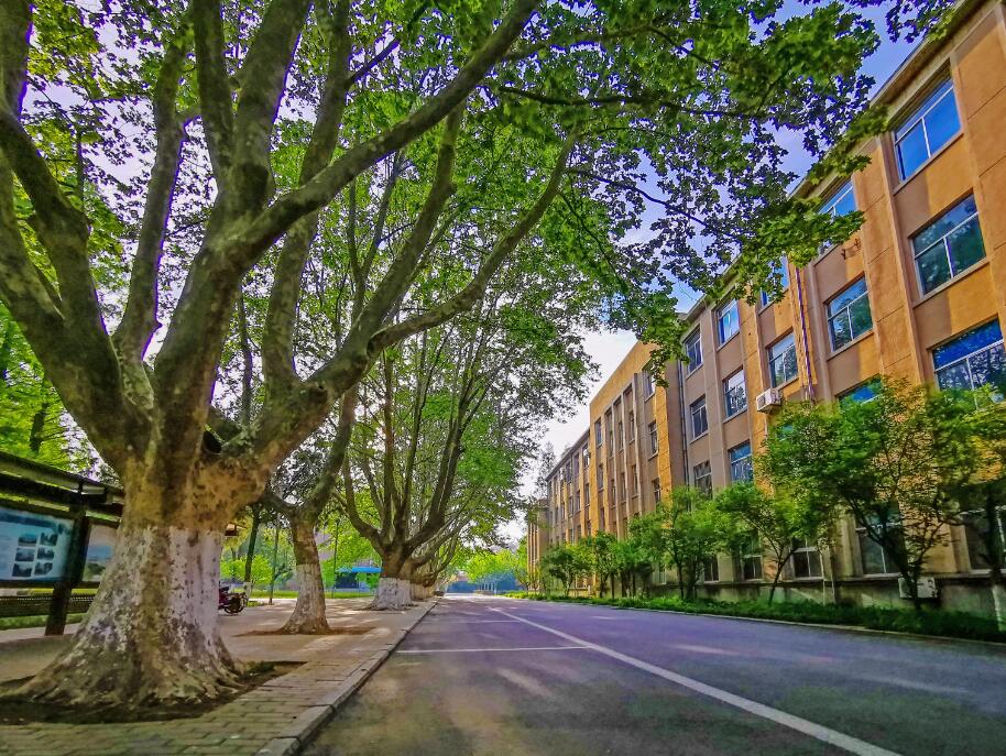 {2025}西南财经大学国际班学费（国际班项目前景）