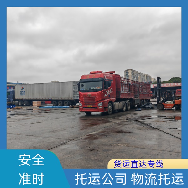 石家庄到察雅县物流公司-物流专线「天天发车 随叫随到」2024排名一览