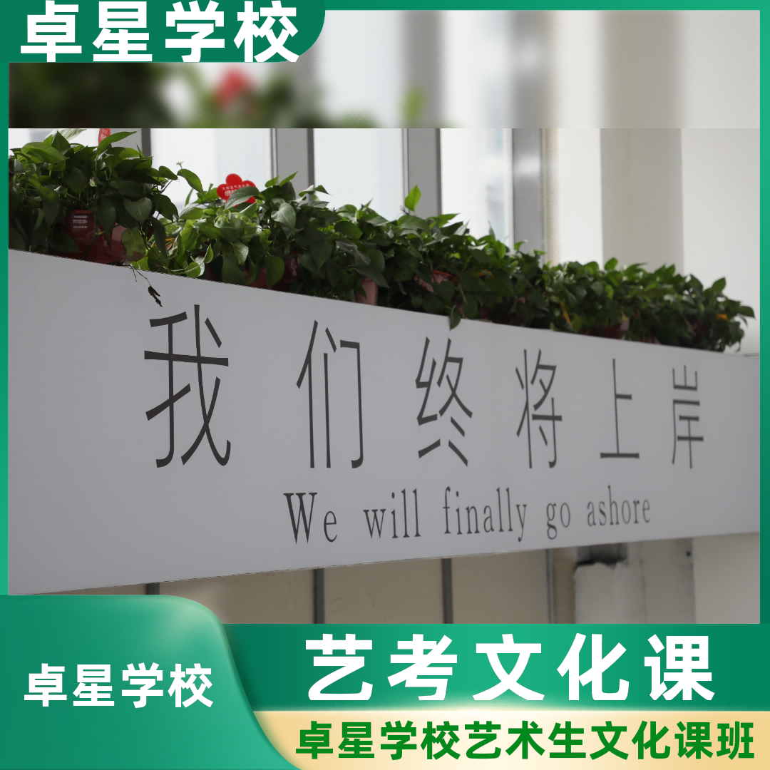 青岛黄岛艺考文化课补习学校,梁山艺考生文化课辅导学校哪家学校好,梁山卓星教育