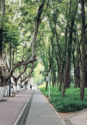 top推荐贵州金航补习学校复读简章（2024贵州金航补习学校招生情况）