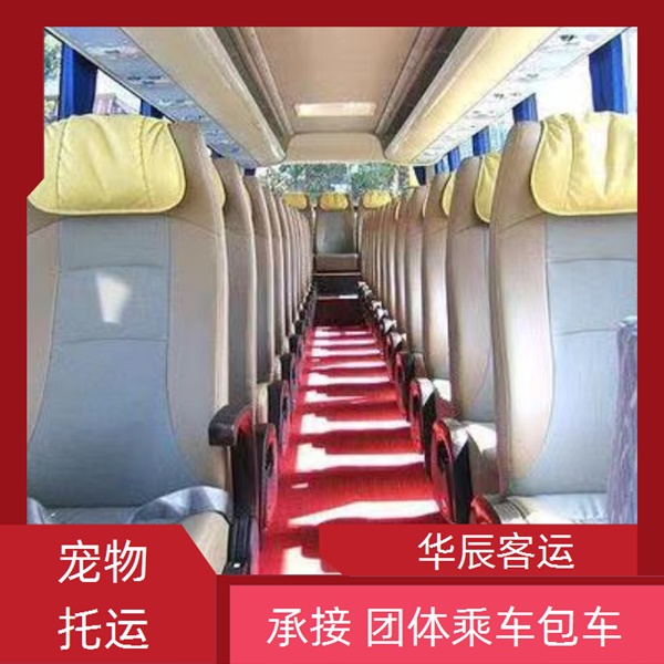 黄岛到马坝的长途客车直达汽车班次查询表（乘车路线+票价/发车时刻表+干净整洁 全程无味）