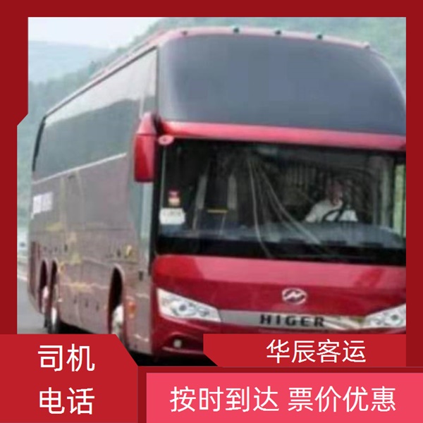 青岛到安阳的长途客车客车汽车班次班次查询表（乘车路线+票价/发车时刻表+宠物货物托运 wifi）