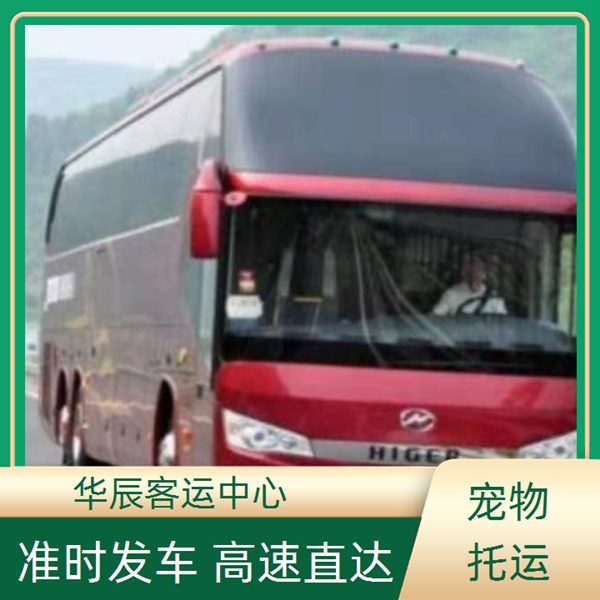 日照到荆门的长途客车客车大巴车时刻表班次查询表（乘车路线+票价/发车时刻表+宠物货物托运 wifi）