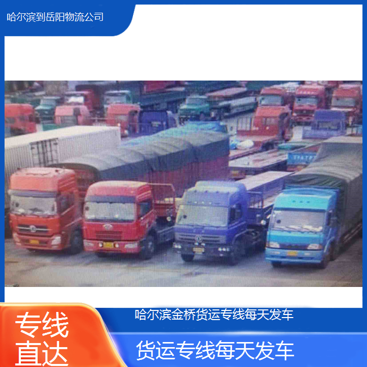 哈尔滨到岳阳物流公司-货运专线每天发车-「专线直达」2024排名一览