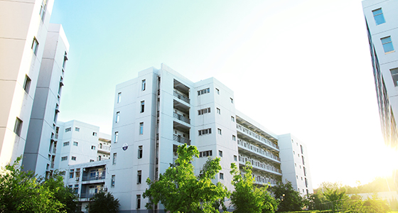 南京加拿大高中离岸教学中心课程培训服务+2025+新+排+名+一+览！