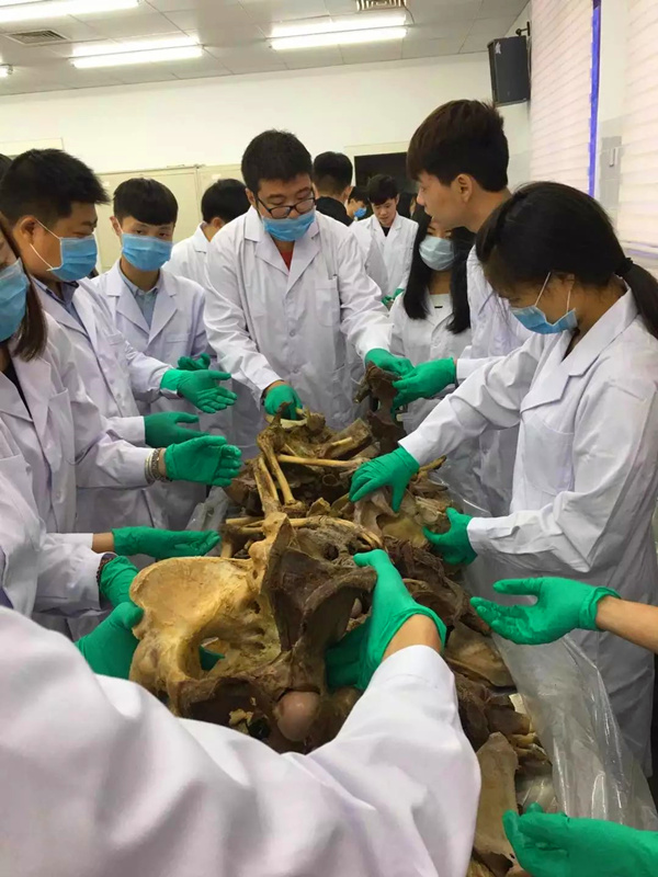 莫斯科国立口腔医科大学怎么样（低分就读医学专业）