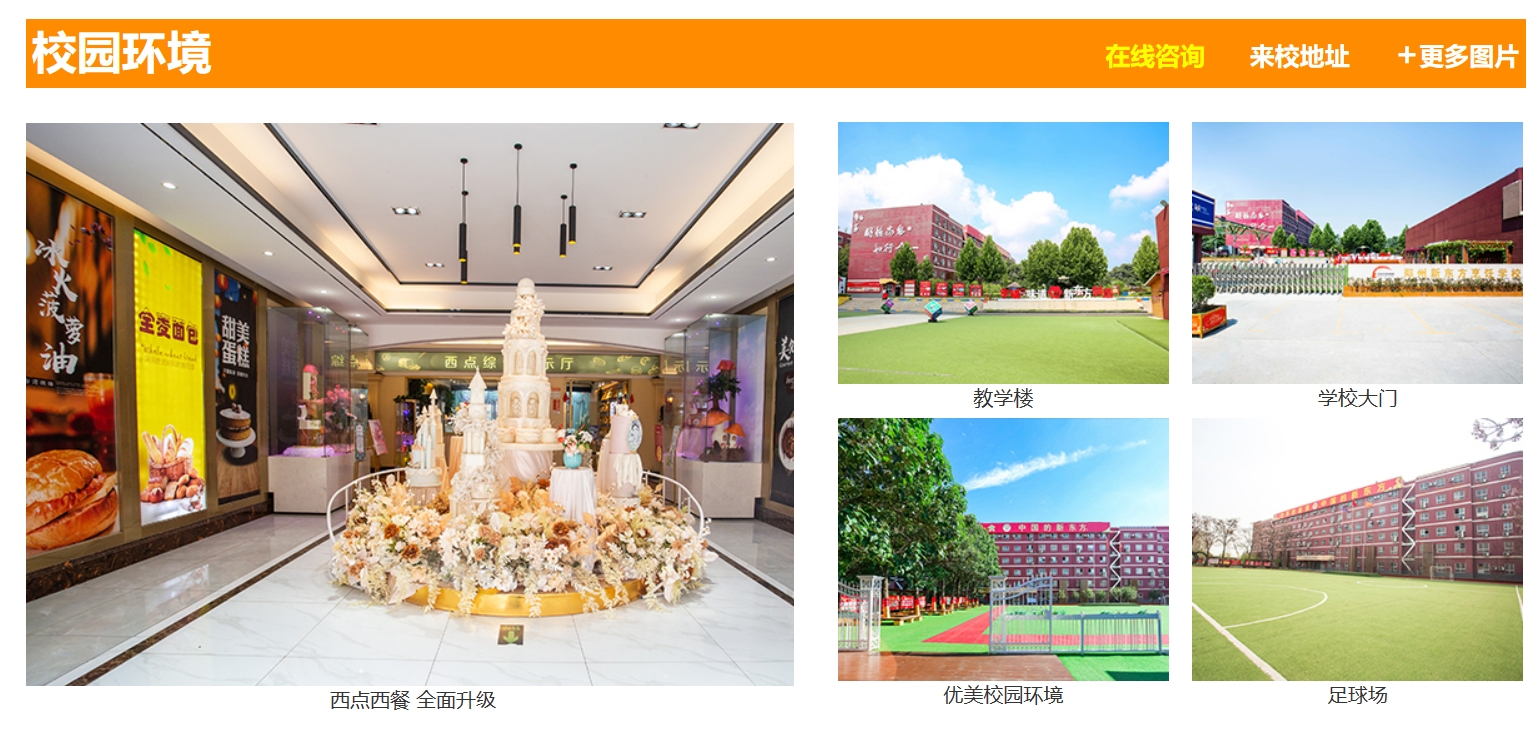 漯河比较正规的3+2学校怎么样>top5按人气实力榜单