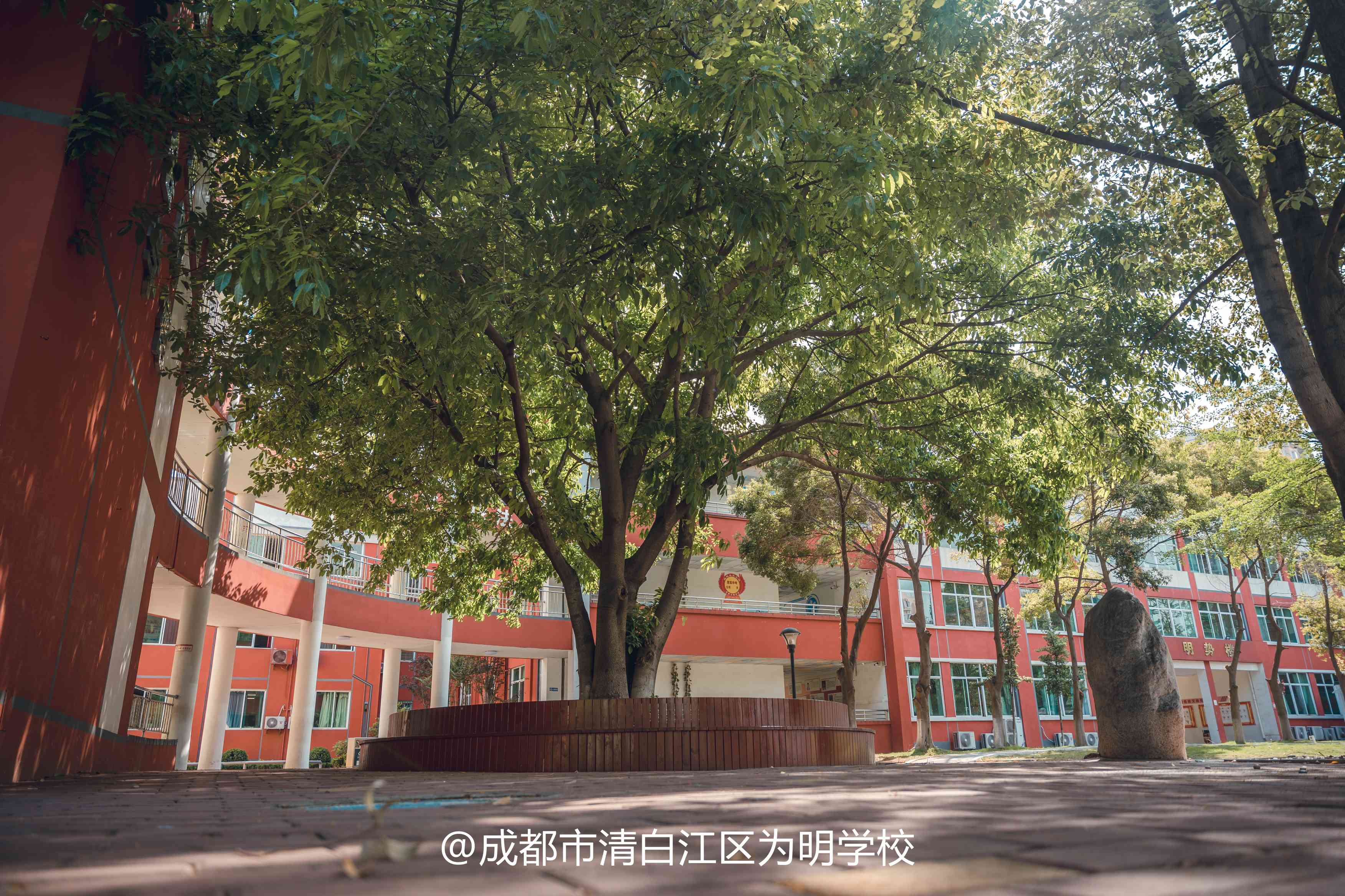 绵竹重点高中学校冲刺班>top5按人气能力榜单