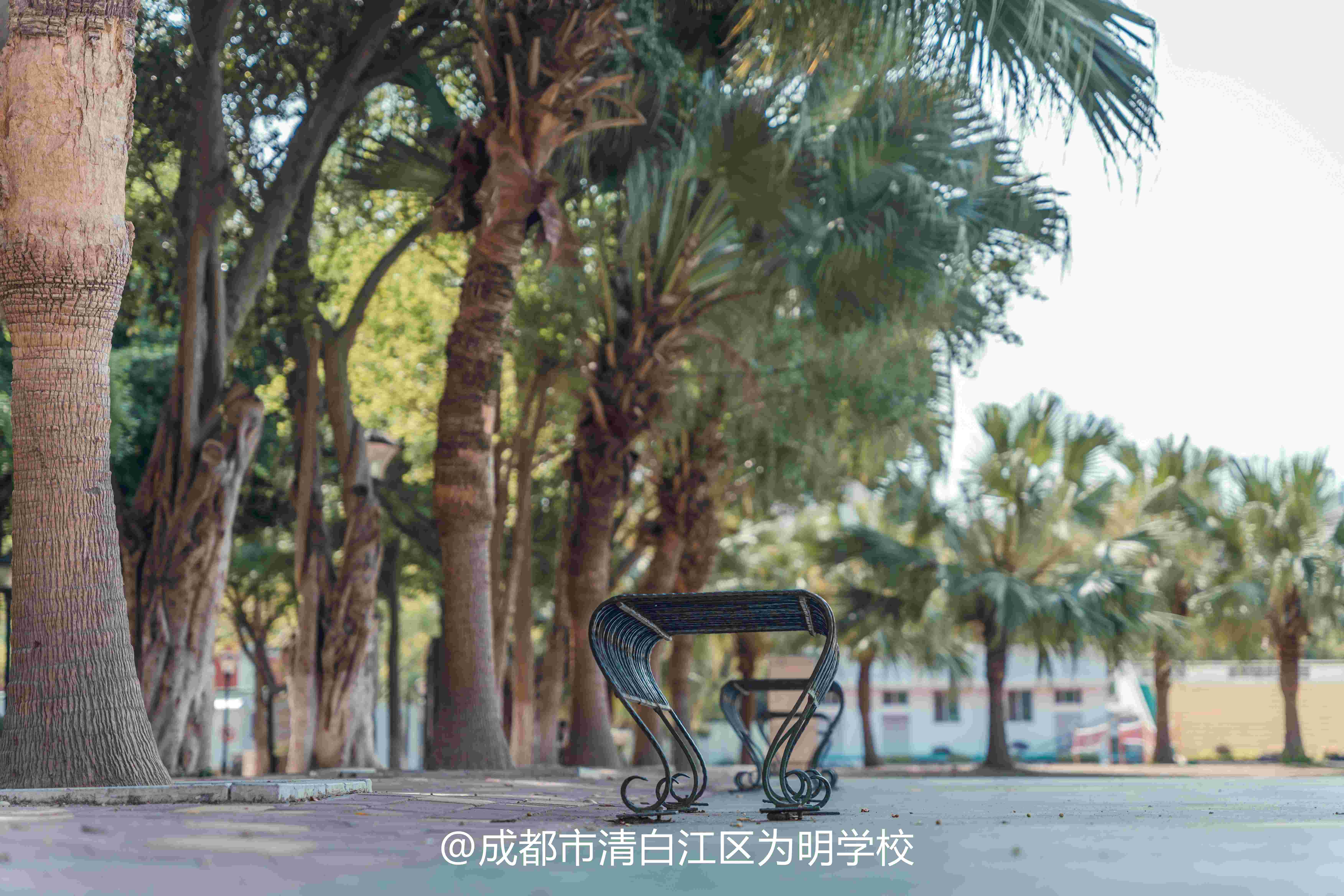 都江堰私立高中学校哪个好>top5按榜单汇总