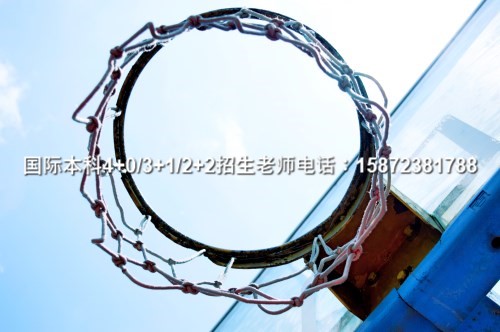 （2024）成都电子科技大学中外合作办学招生学历要求