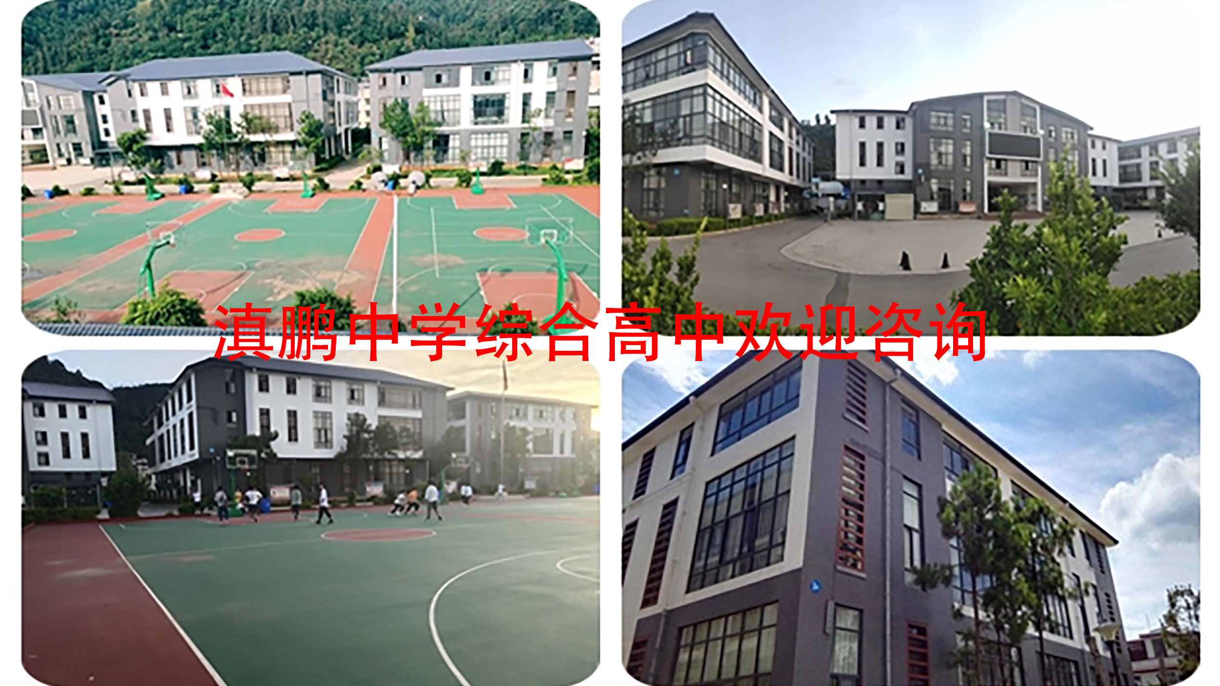 昆明市好的职教高考学校能考什么大学