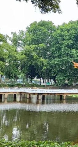 湖南省中南艺术学校招生专业    是全日制学校嘛>top5(今日/动态)