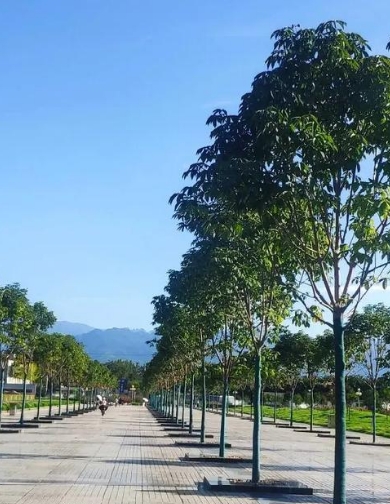 2025年贵阳云岩区高中复读冲刺学校到底值不值+top贵阳云岩区高中复读学校排名推荐