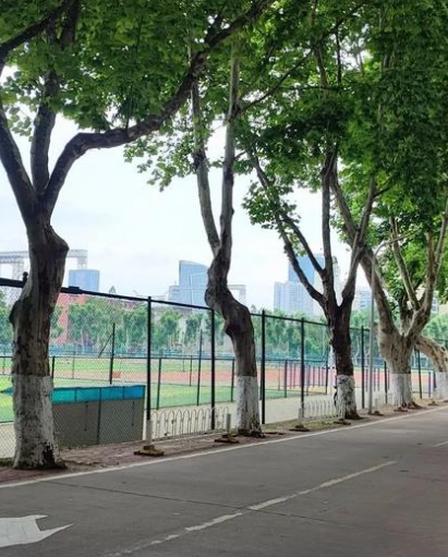 2025年贵阳乌当区初升高要多少钱+top贵阳乌当区复读学校排名推荐