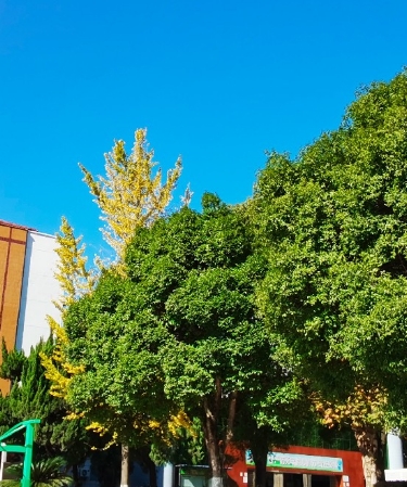 2025年贵阳乌当区封闭式补习学校怎么办理手续+复读排名一览
