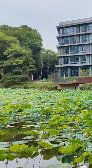 2025年贵阳高复封闭式学校有必要去吗+排行榜前九