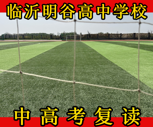 临沂郯城高三文化课复读冲刺_临沂郯城高文化课复读集训升学率是多少
