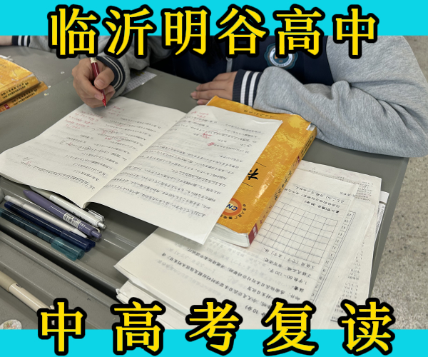 临沂临沭体育生文化课培训学校,临沂临沭高考文化课复读集训班哪个好