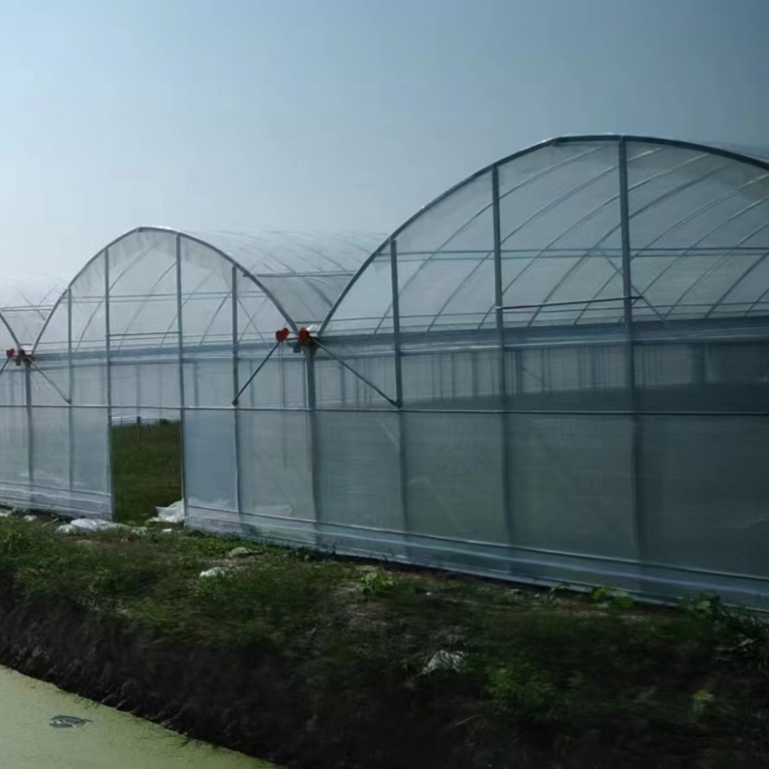 乌鲁木齐薄膜连栋温室大棚生产地「实力商家」2025排名一览