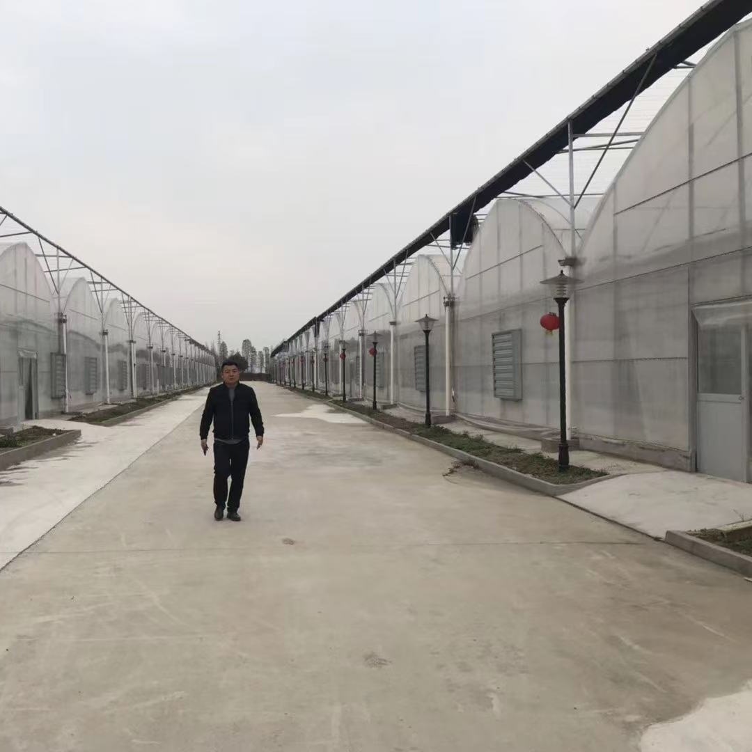 资阳薄膜连栋温室大棚怎么样「货源充足」2025排名一览