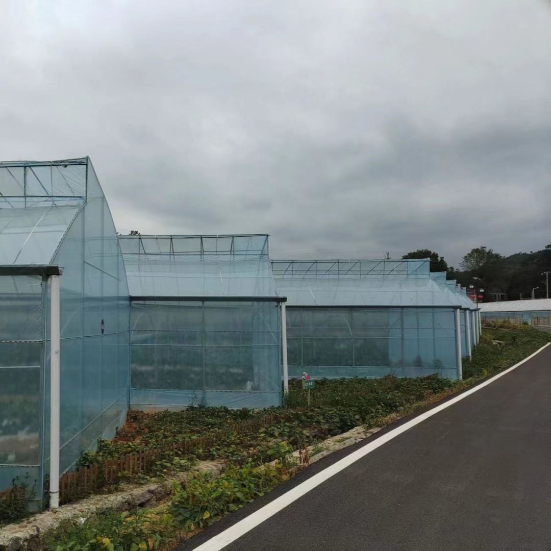 岳阳连栋薄膜温室大棚销售公司「厂家直发」2025排名一览