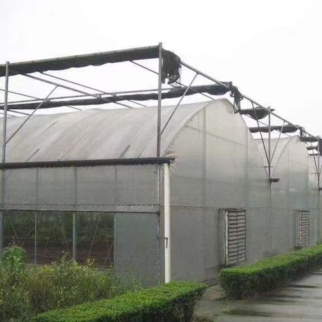 佛山连栋薄膜温室大棚来电详谈「一手货源」2025排名一览