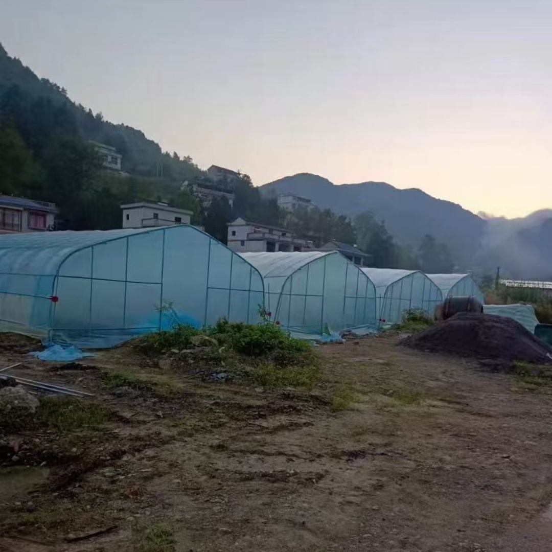 乌鲁木齐智能连栋温室大棚花卉蔬菜种植「通风效果好」2025排名一览