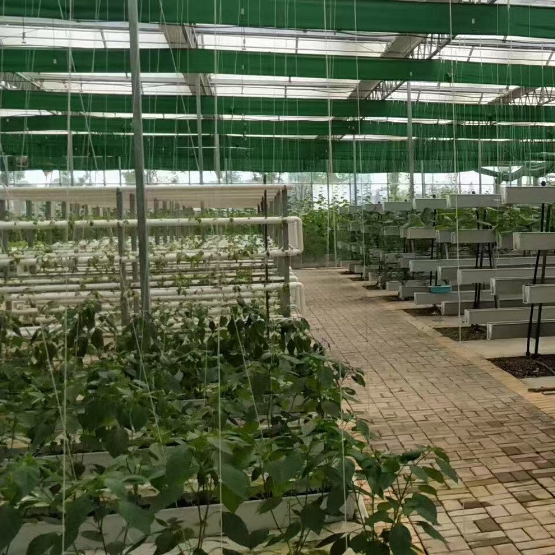 梅州智能玻璃温室大棚花卉蔬菜水果种植「经久耐用」2025排名一览