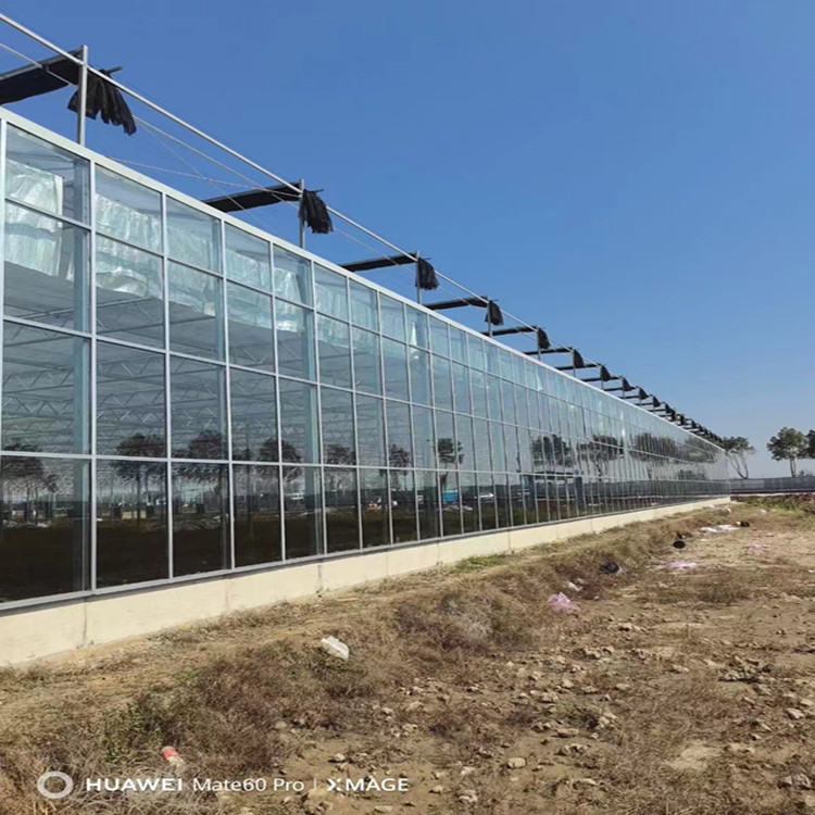 吉安薄膜连栋温室大棚种植养殖农业展会「种类繁多」2025排名一览