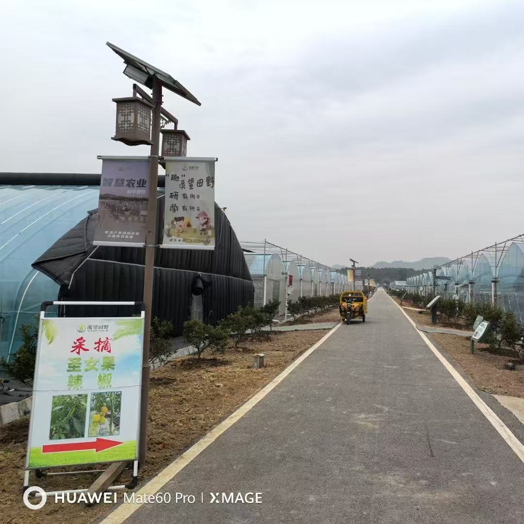 兰州智能玻璃温室大棚无水栽培种植养殖「品种多样」2025排名一览